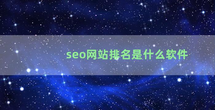 seo网站排名是什么软件