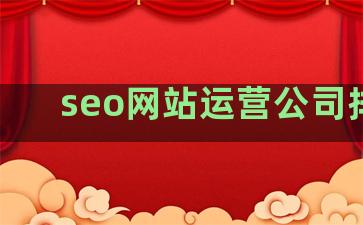 seo网站运营公司排名