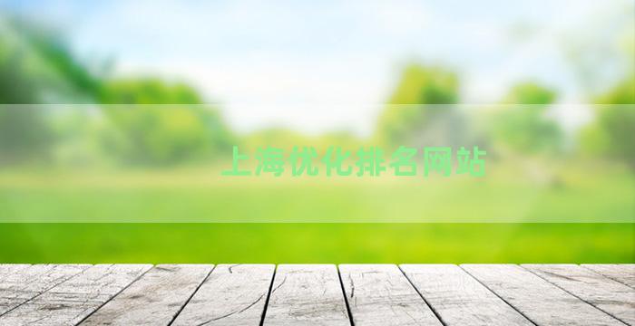 上海优化排名网站