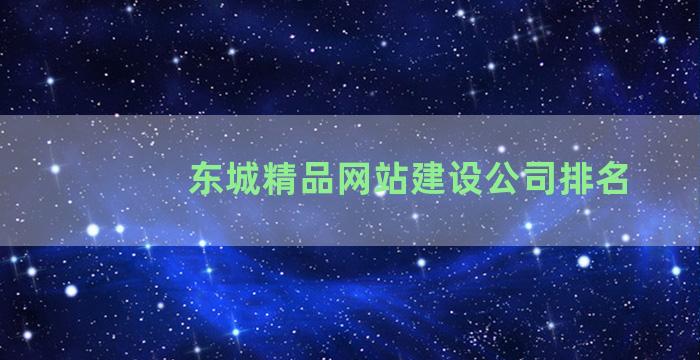 东城精品网站建设公司排名