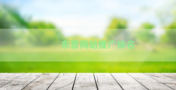 东营网站推广排名