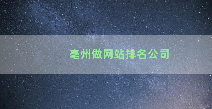 亳州做网站排名公司