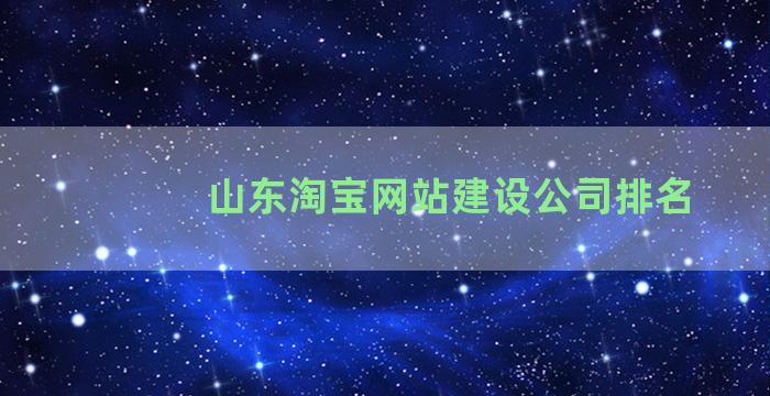 山东淘宝网站建设公司排名