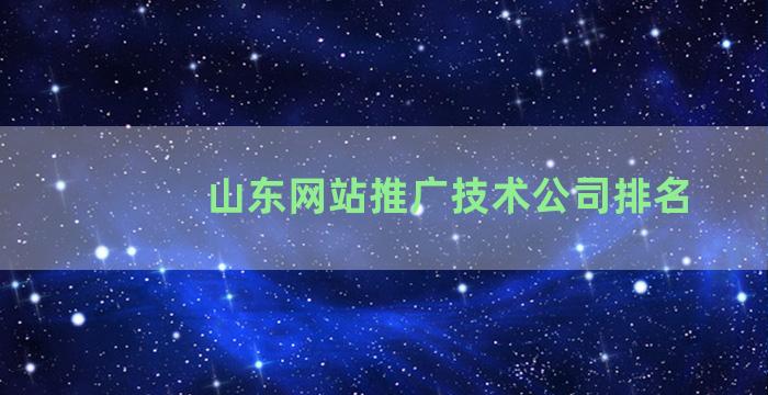 山东网站推广技术公司排名