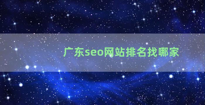 广东seo网站排名找哪家