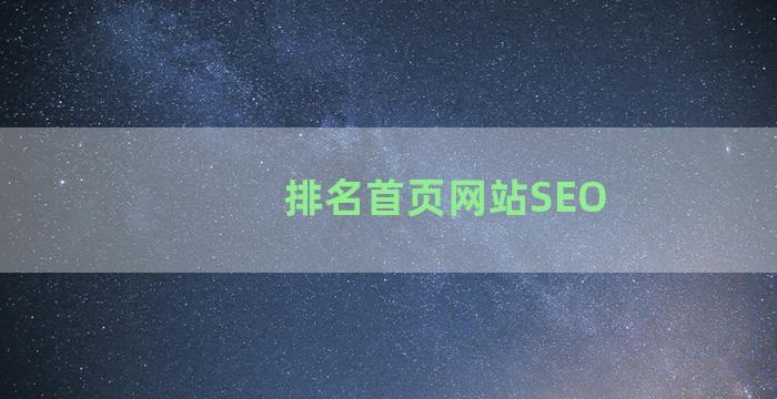 排名首页网站SEO