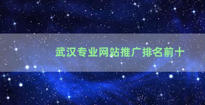 武汉专业网站推广排名前十