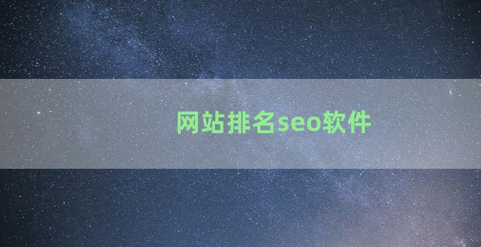 网站排名seo软件