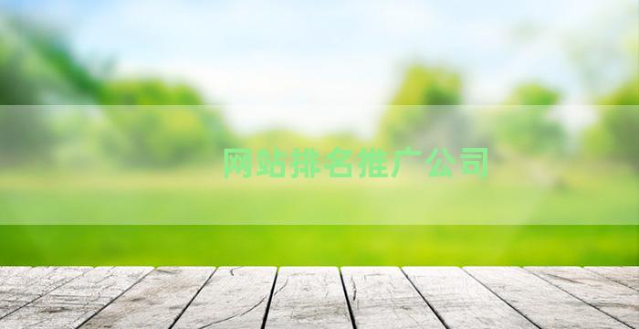 网站排名推广公司