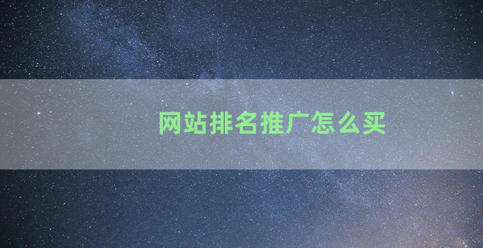 网站排名推广怎么买