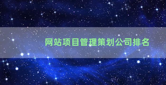 网站项目管理策划公司排名