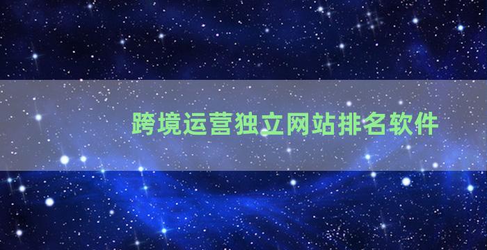 跨境运营独立网站排名软件