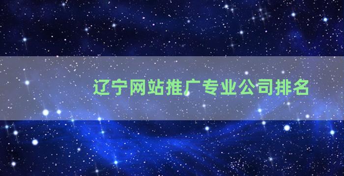 辽宁网站推广专业公司排名