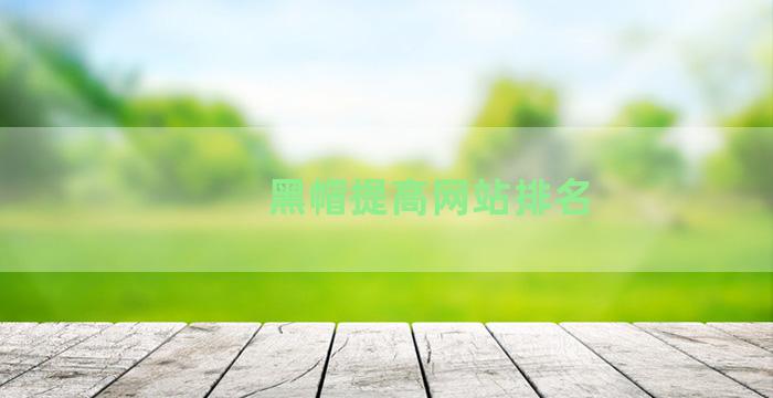 黑帽提高网站排名